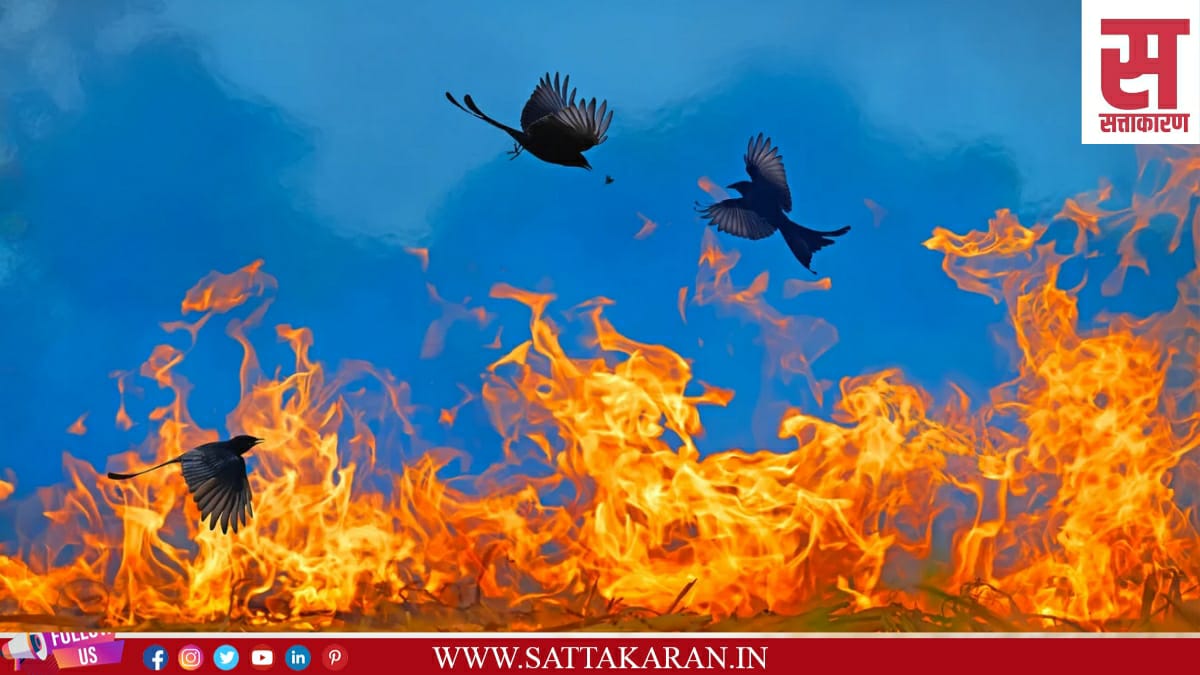 बैजू यांनी मराठवाड्यातील बीड जिल्ह्यातील धारूर येथे दुर्गम भागात जाऊन हे छायाचित्र काढले.